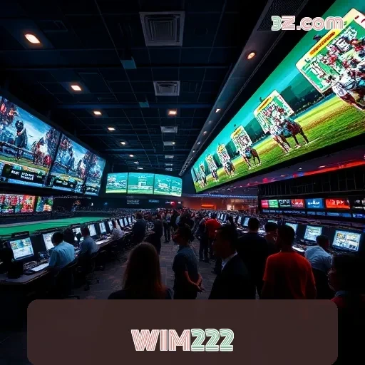 WIM222: Torneios que Conectam Jogadores em Emoção e Competição